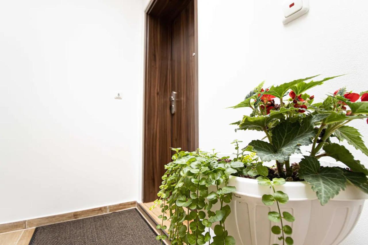 468 Plagwitz Apartment Kulturviertel Λειψία Εξωτερικό φωτογραφία